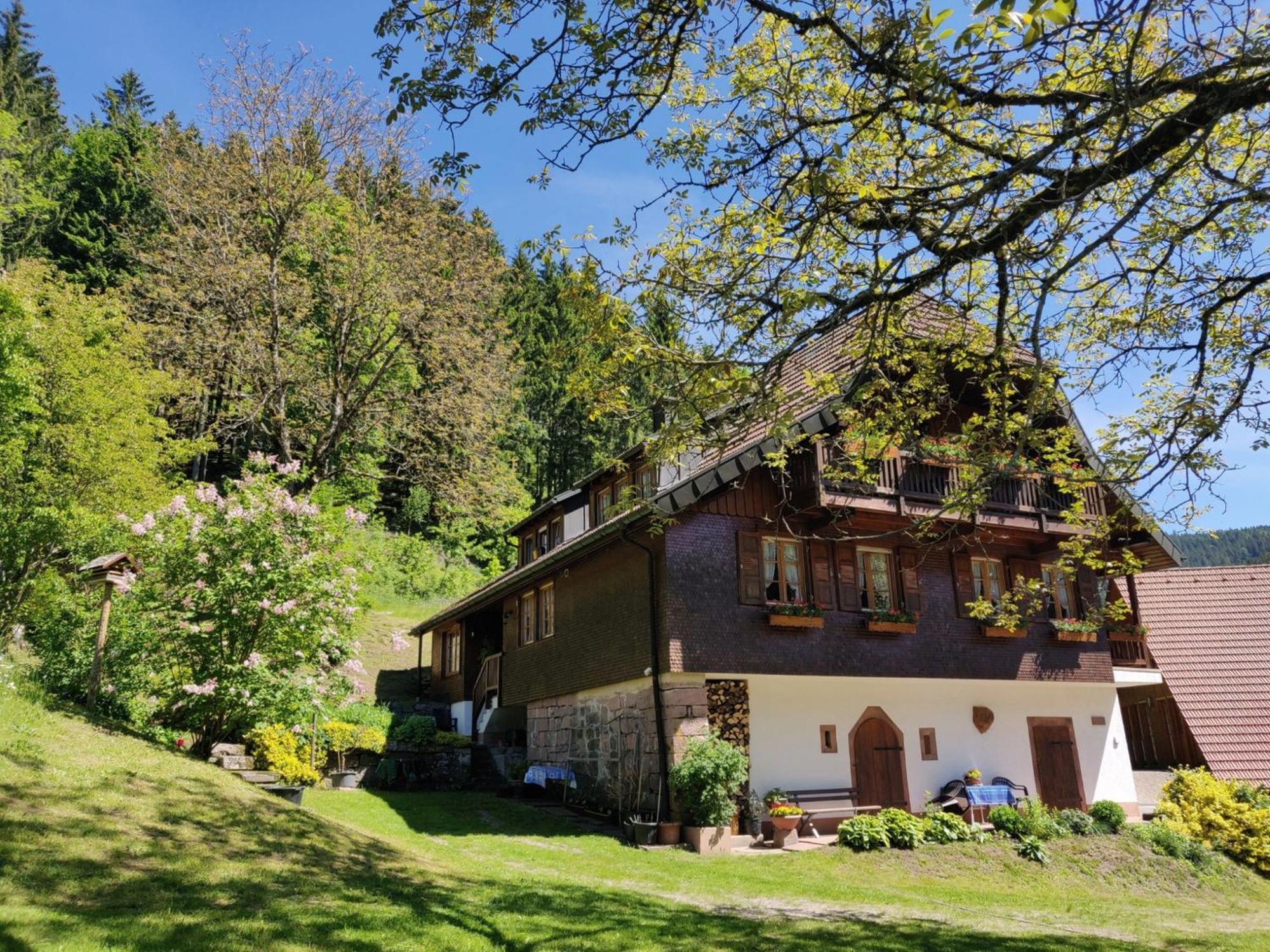 Ferienwohnungen Vogt'S Libding Bad Rippoldsau-Schapbach Exterior photo